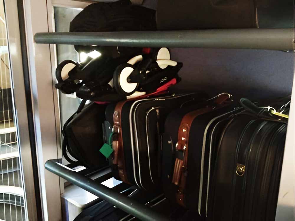 Viajando con un cochecito YOYO babyzen en el tren y guárdelo en el compartimento de equipaje